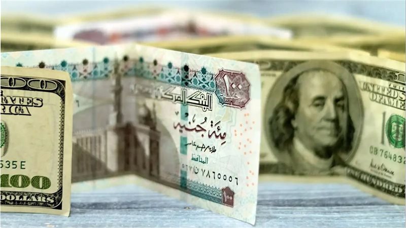 سعر الدولار اليوم