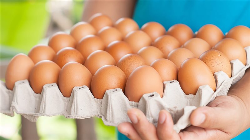 الحق والضلال