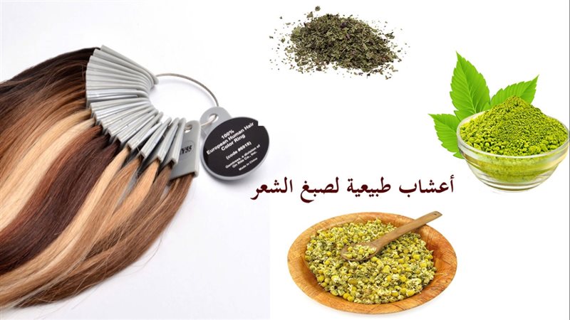 الحق والضلال