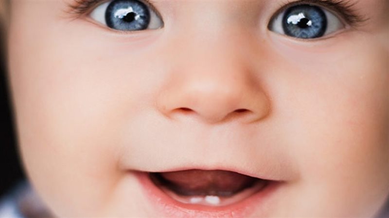 الحق والضلال