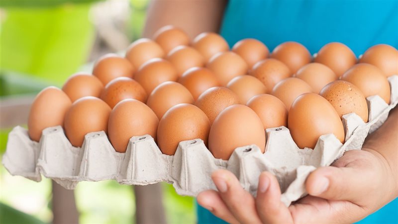 الحق والضلال
