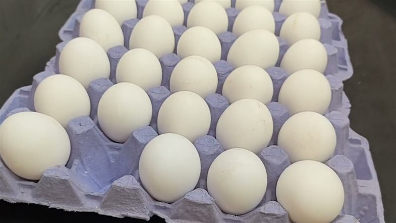 الحق والضلال