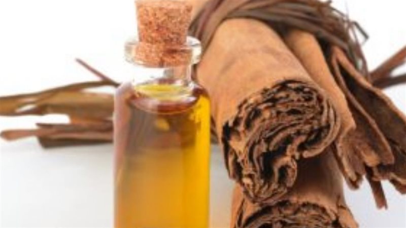 الحق والضلال