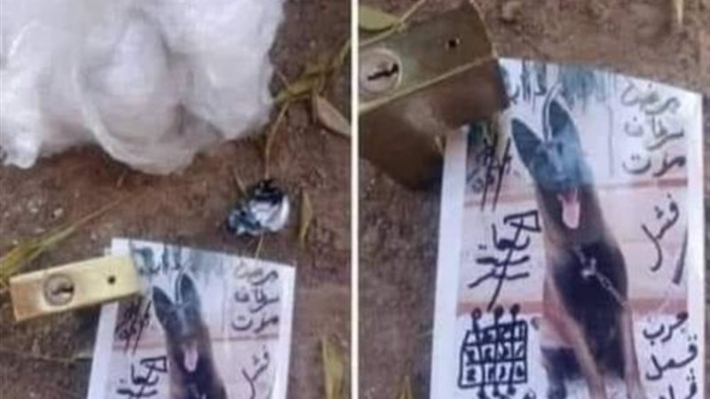 الحق والضلال
