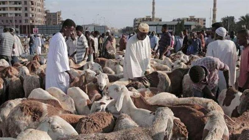 الحق والضلال