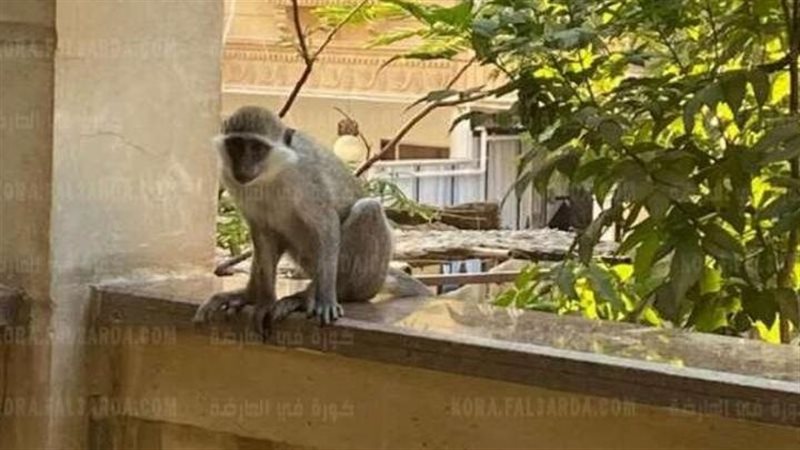 الحق والضلال