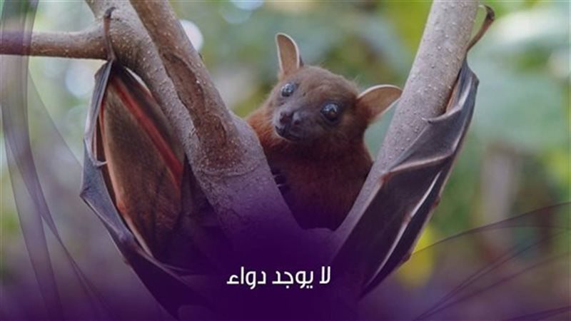 الحق والضلال