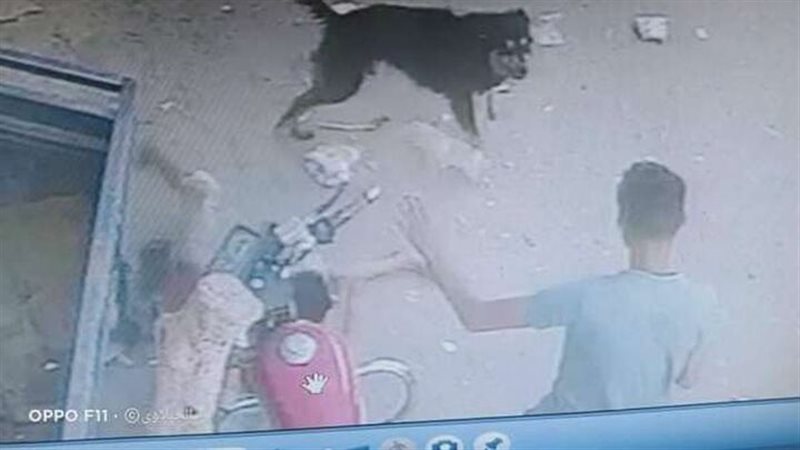 الحق والضلال