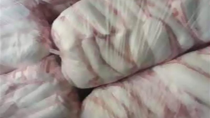 الحق والضلال