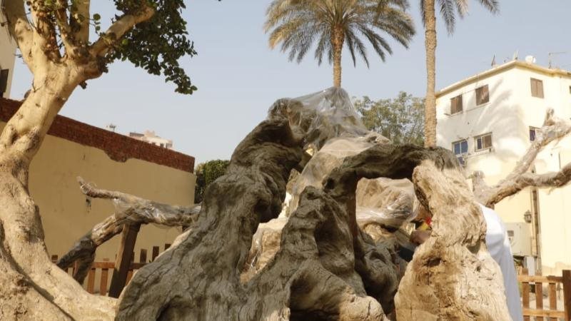 الحق والضلال
