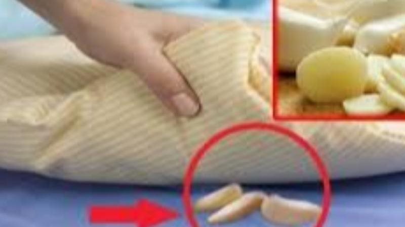 الحق والضلال