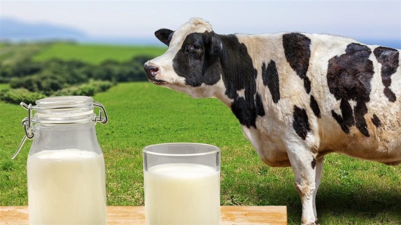 الحق والضلال