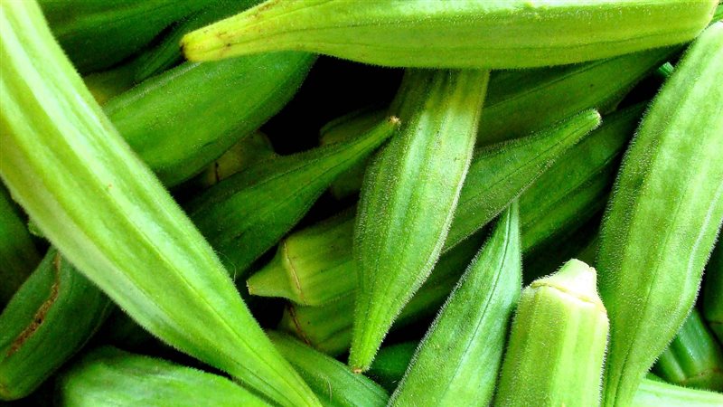 الحق والضلال