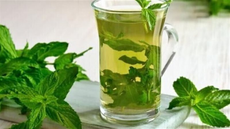 الحق والضلال