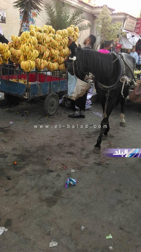 بالصور   الباعة الجائلون يحتلون أهم شوارع الإسكندرية بعد الكورنيش