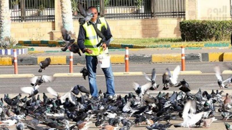 بالصور الحمام يحول ميدان الشهداء ببورسعيد لمزار سياحى كأنك فى أوروبا