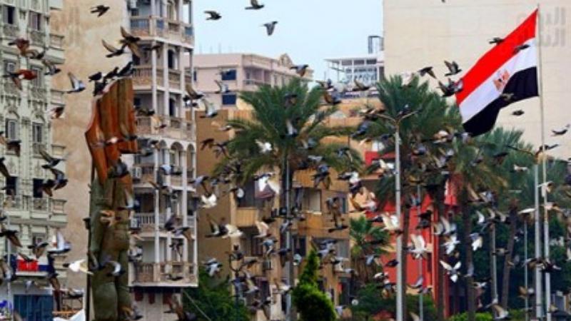 بالصور الحمام يحول ميدان الشهداء ببورسعيد لمزار سياحى كأنك فى أوروبا