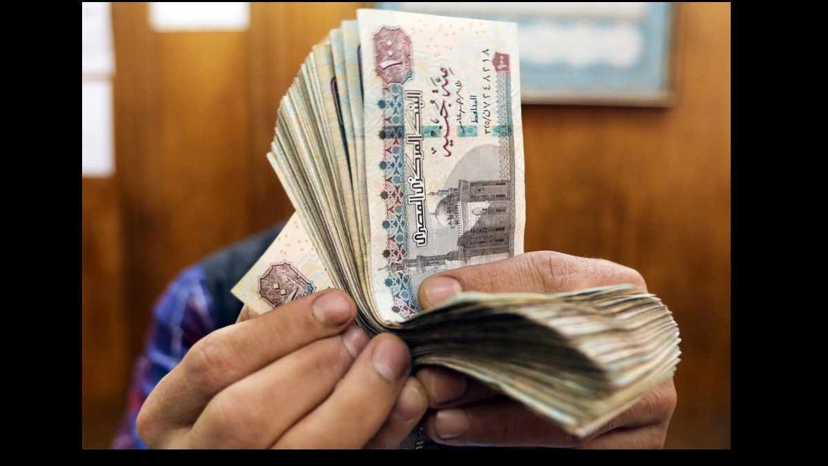 هدية من البنك الاهلى لاصحاب المهن الحرة وتمويل يصل ل٢ مليون وسدد براحتك